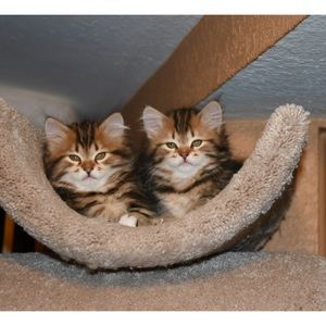 Updated Pics of Trixie